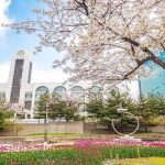 Các trường đại học ở Hàn Quốc được nhiều du học sinh lựa chọn