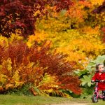 Khỏi lo âu về thời tiết khi du học  tại CHLB Đức